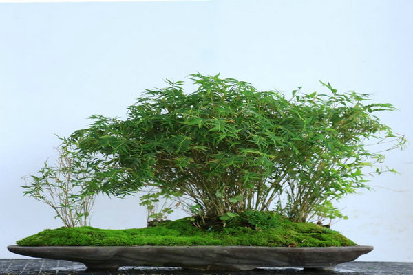 桂林装修设计