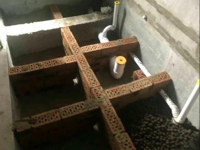 1768093457266658.jpg 1768093457266658.jpg