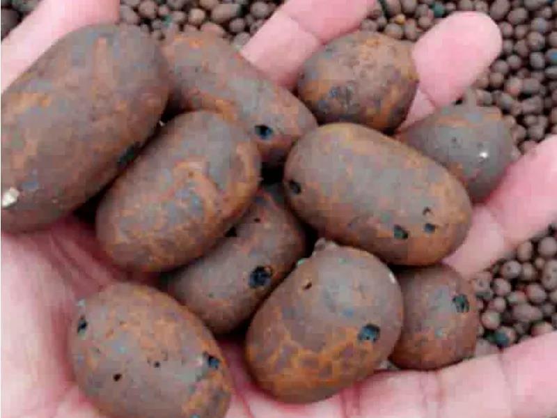 1768093534606209.jpg 1768093534606209.jpg